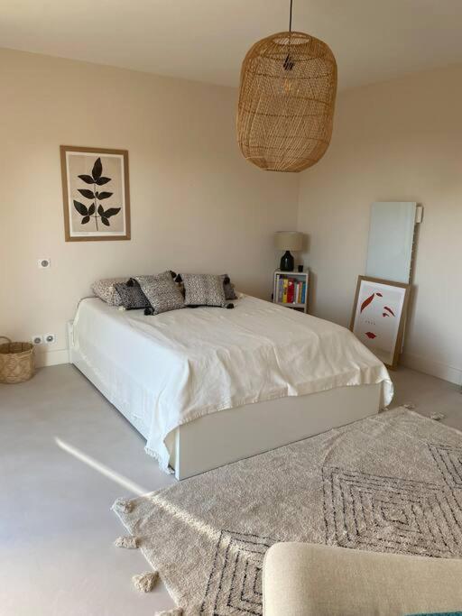Villa Belle Maison Contemporaine *
