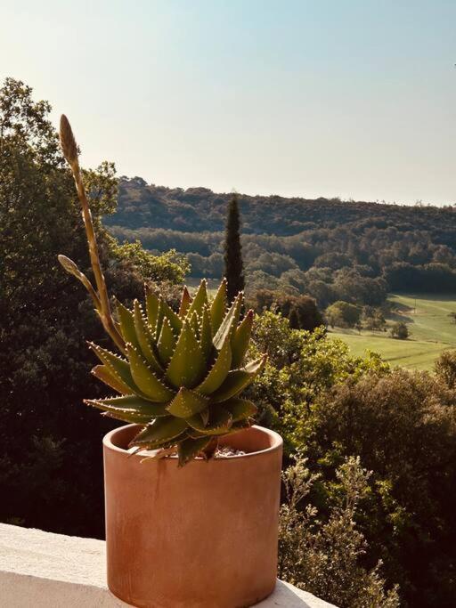 Villa Belle Maison Contemporaine